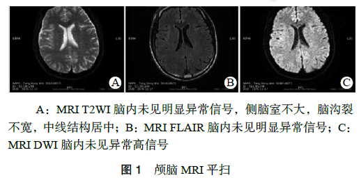 高效氯氟氰菊酯中毒致痫性风暴一例并文献复习