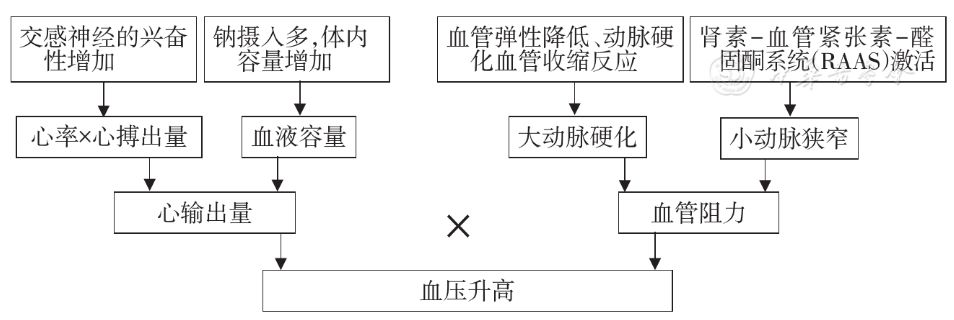 网站首页 指南共识 基层诊疗  高血压的发病机制复杂,血压的调节受心