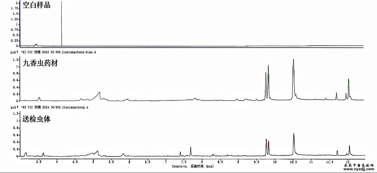 1762772389354016.jpg 1762772389354016.jpg